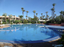 Appartement 2 chambres Palmeraie