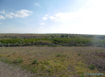 Terrain titré axe Assoufid-4