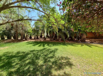 Appartement 2 chambres Palmeraie