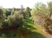 Appartement 2 chambres axe Amelkis