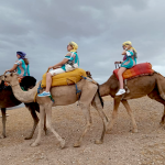 Que faire à Marrakech pendant 5 jours